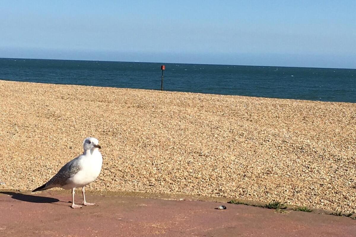 Appartamento The Lookout Hythe  Esterno foto
